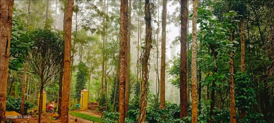 Sp Resort Inn Yercaud Dış mekan fotoğraf